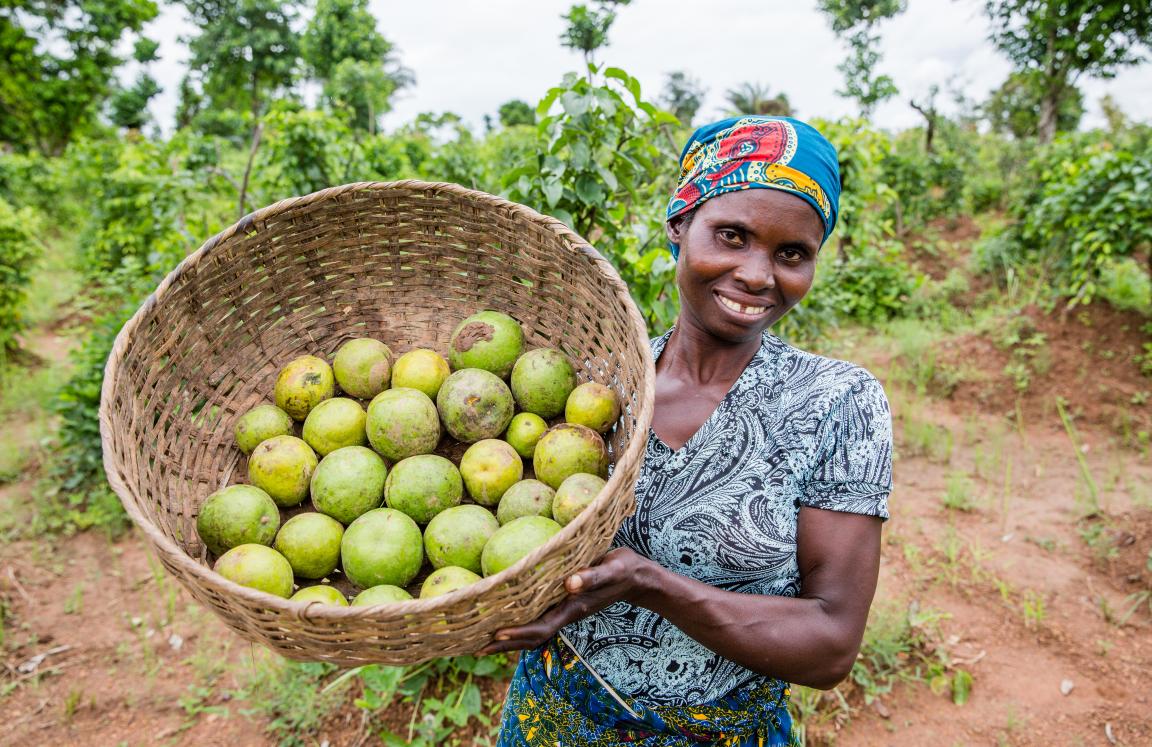 Agroecology and climate change