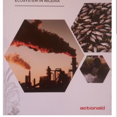 ALTERNATIVE CASES TO DIRTY POLLUTING AGRIBUSINESS AND ENERGY PROJECTS AND THEIR ECOSYSTEM IN NIGERIA